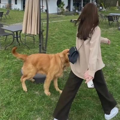 白痴杀手